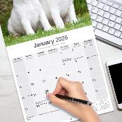 CALENDRIER 2026 - FOX TERRIER