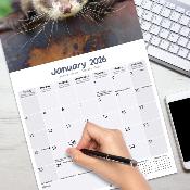 CALENDRIER 2026 - FURETS