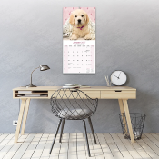 CALENDRIER 2027 - GOLDEN RETRIEVER