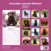 CALENDRIER 2027 - LABRADOR CHOCOLAT