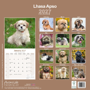 CALENDRIER 2027 - LHASSA APSO