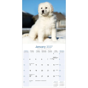 CALENDRIER 2027 - MONTAGNE DES PYRENEES