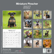 CALENDRIER 2027 - PINSCHER NAIN
