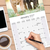 CALENDRIER 2027 - SHAR PEI