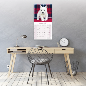 CALENDRIER 2027 - WEST HIGHLAND TERRIER