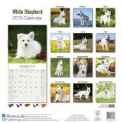 CALENDRIER 2019 - BERGER BLANC SUISSE