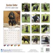 CALENDRIER 2019 - SETTER GORDON