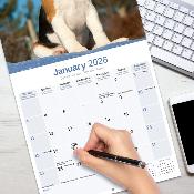 CALENDRIER 2026 - BEAGLE