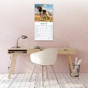 CALENDRIER 2026 - BRAQUE ALLEMAND