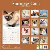 CALENDRIER 2026 - CHATS SIAMOIS toutes couleurs