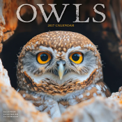 CALENDRIER 2027 - CHOUETTES
