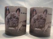 TASSE/MUG - Chien BOULEDOGUE FRANCAIS FONCE ADULTE 