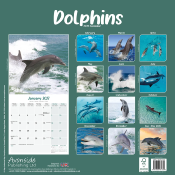 CALENDRIER 2027 - DAUPHINS