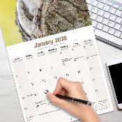 CALENDRIER 2026 - ECUREUILS