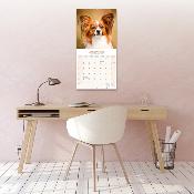 CALENDRIER 2026 - EPAGNEUL PAPILLON NAIN