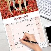 CALENDRIER 2026 - GREYHOUND