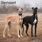 CALENDRIER 2026 - GREYHOUND