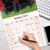 CALENDRIER 2026 -LABRADOR NOIR