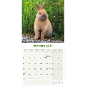 CALENDRIER 2027 - LAPINS