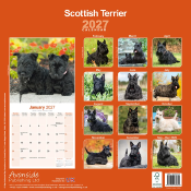 CALENDRIER 2027 - SCOTTISH TERRIER
