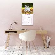 CALENDRIER 2026 - SETTER ANGLAIS