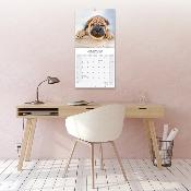 CALENDRIER 2026 - SHAR PEI