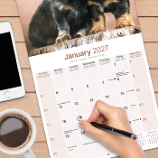 CALENDRIER 2027 - TECKEL POIL DUR