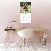 CALENDRIER 2026 - YORKSHIRE TERRIER
