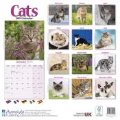 CALENDRIER 2019 - CHATS