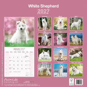 CALENDRIER 2027 - BERGER BLANC SUISSE