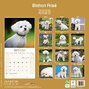 CALENDRIER 2026 - BICHON FRISE