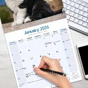CALENDRIER 2026 - BOBTAIL
