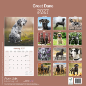 CALENDRIER 2027 - DOGUE ALLEMAND