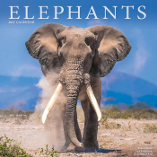 CALENDRIER 2027 - ELEPHANTS