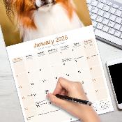 CALENDRIER 2026 - EPAGNEUL PAPILLON NAIN