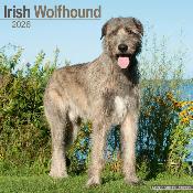 CALENDRIER 2026 - IRISH WOLFHOUND