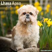 CALENDRIER 2026 -LHASSA APSO