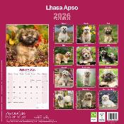 CALENDRIER 2026 -LHASSA APSO