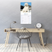 CALENDRIER 2027 - MONTAGNE DES PYRENEES
