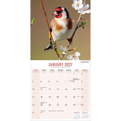 CALENDRIER 2027 - OISEAUX DU JARDIN