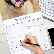 CALENDRIER 2026 - SAINT BERNARD
