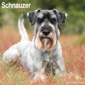 CALENDRIER 2027 - SCHNAUZER
