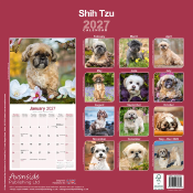 CALENDRIER 2027 - SHIH TZU