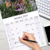 CALENDRIER 2026 - TECKEL POIL LONG