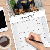 CALENDRIER 2027 - TECKEL POIL COURT