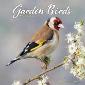 CALENDRIER 2026 - OISEAUX DES JARDINS