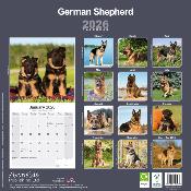 CALENDRIER 2026 - BERGER ALLEMAND
