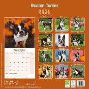 CALENDRIER 2026 - BOSTON TERRIER