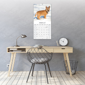 CALENDRIER 2027 - CAIRN TERRIER