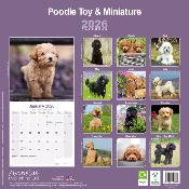 CALENDRIER 2026 - CANICHE NAIN & TOY
